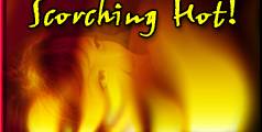 Click Here for Hot New York  Whores!