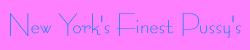 fine.gif (1086 bytes)
