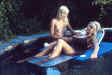 5530r1223.jpg (48861 Byte)